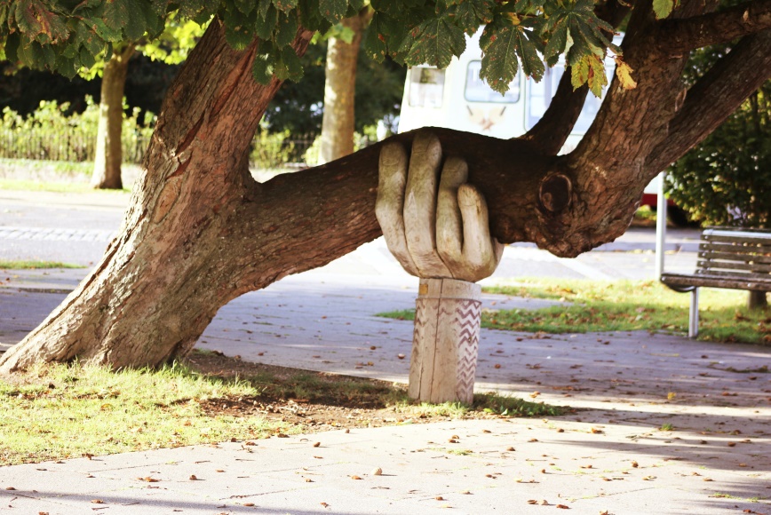 Large hand supporting a tree branch, the way online therapy in Manchester can help you